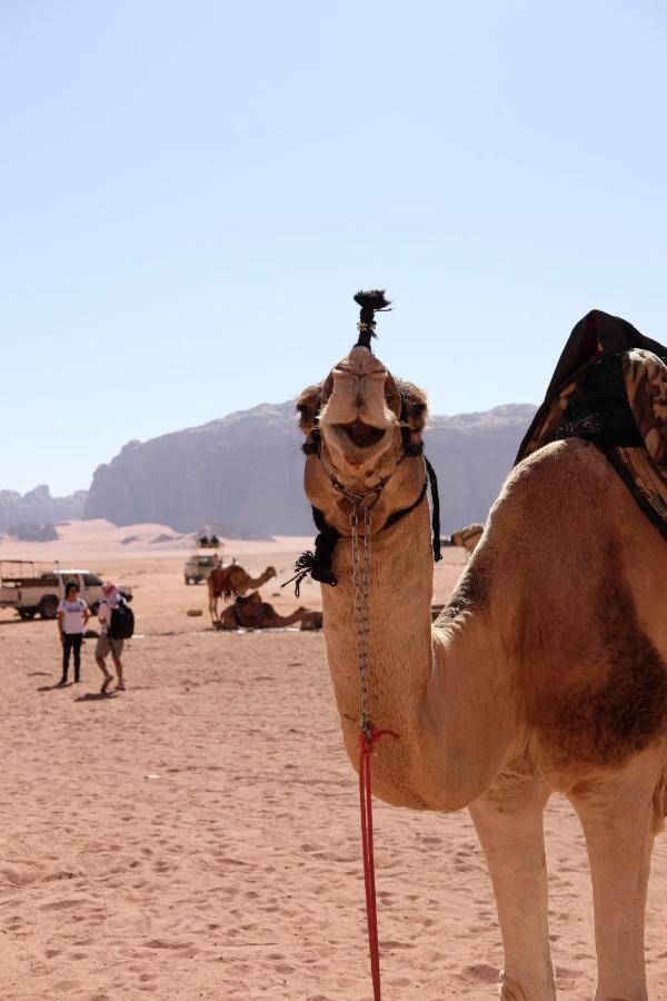 Wadirum Momoo Вади-Рам Экстерьер фото